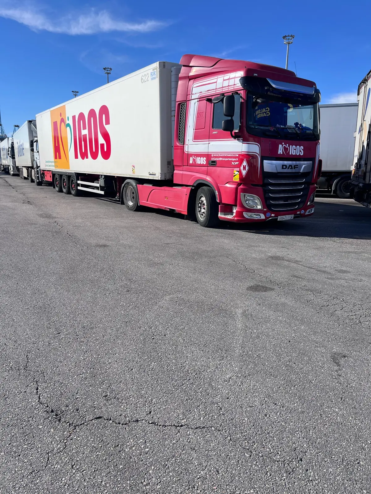 Tracteur DAF XF rouge Amigos Mobility avec semi-remorque frigorifique